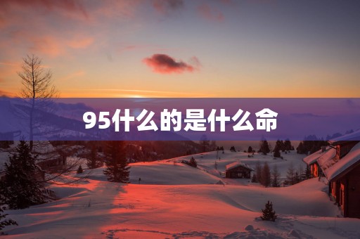 95什么的是什么命