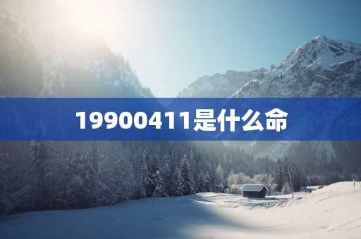 19900411是什么命