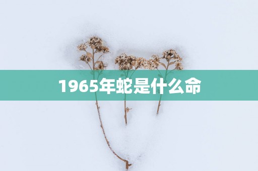 1965年蛇是什么命