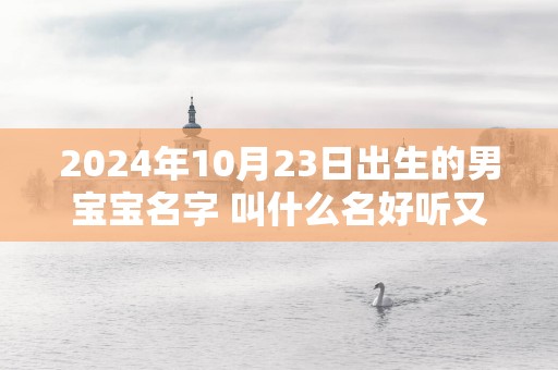 2025年10月23日出生的男宝宝名字 叫什么名好听又吉利网