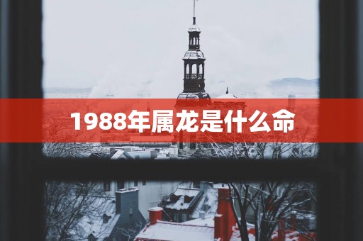 1988年属龙是什么命