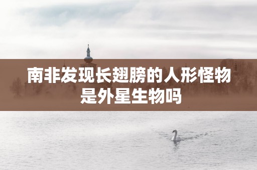 南非发现长翅膀的人形怪物 是外星生物吗