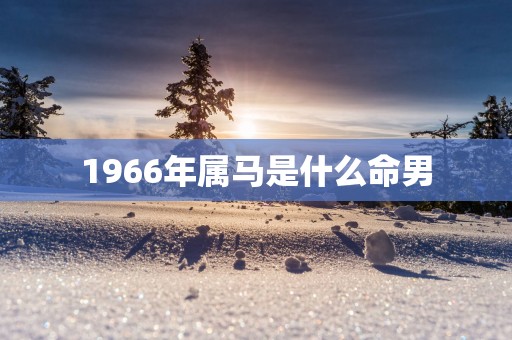 1966年属马是什么命男