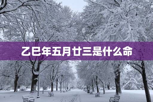 乙巳年五月廿三是什么命