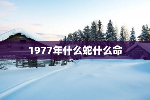 1977年什么蛇什么命
