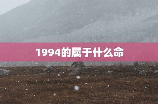 1994的属于什么命