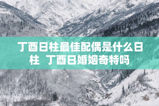 丁酉日柱最佳配偶是什么日柱  丁酉日婚姻奇特吗