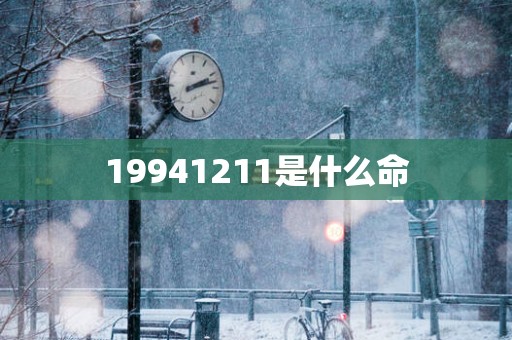 19941211是什么命