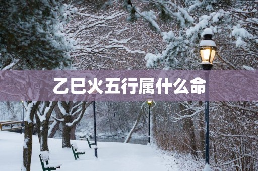 乙巳火五行属什么命