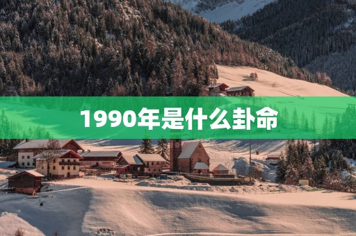 1990年是什么卦命