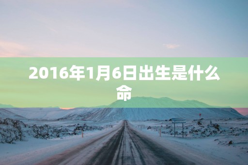 2016年1月6日出生是什么命