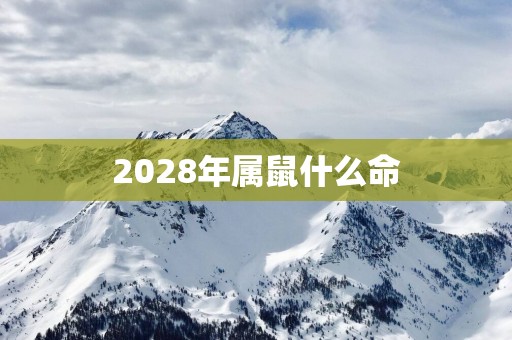 2028年属鼠什么命