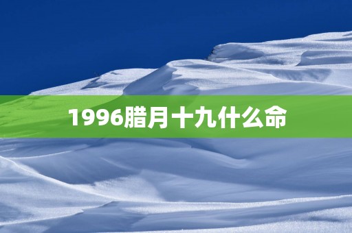 1996腊月十九什么命