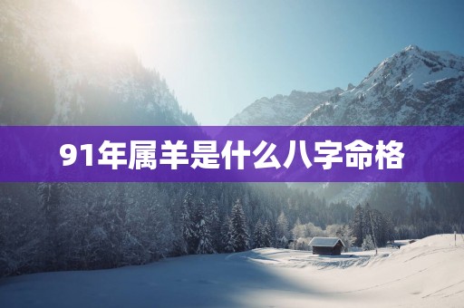91年属羊是什么八字命格