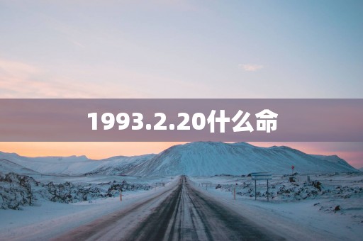 1993.2.20什么命