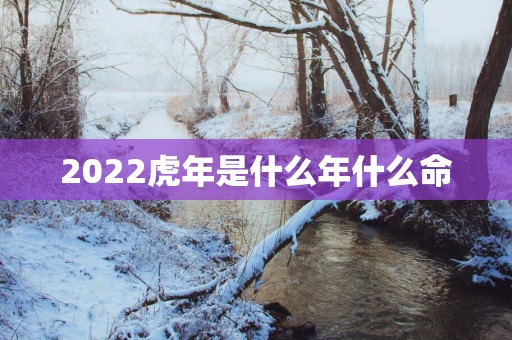 2025蛇年是什么年什么命