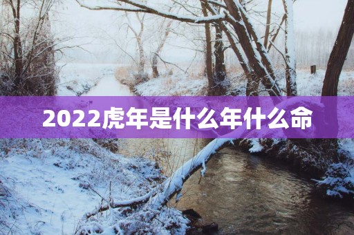 2022虎年是什么年什么命