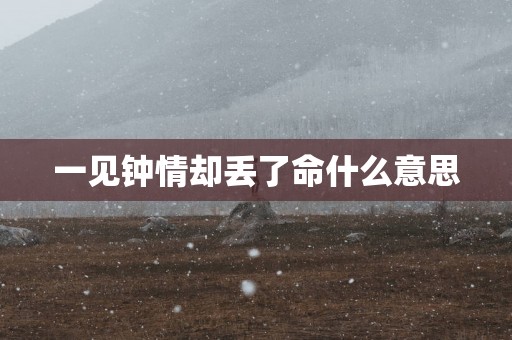 一见钟情却丢了命什么意思