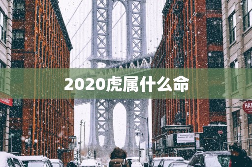 2025虎属什么命