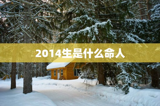 2014生是什么命人