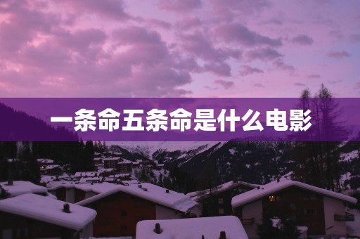 一条命五条命是什么电影