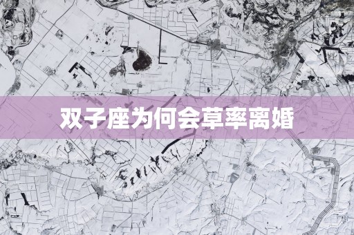 双子座为何会草率离婚