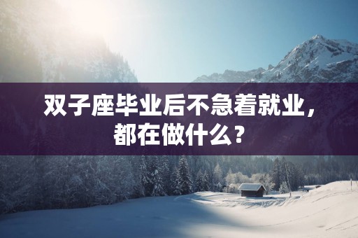 双子座毕业后不急着就业，都在做什么？