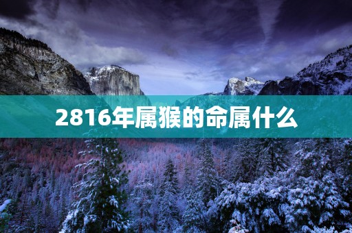 2816年属猴的命属什么