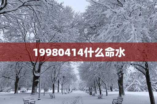 19980414什么命水