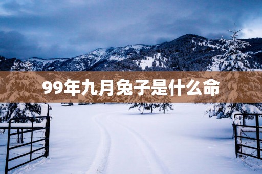 99年九月兔子是什么命