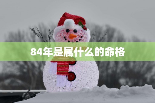 84年是属什么的命格