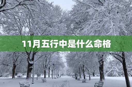 11月五行中是什么命格