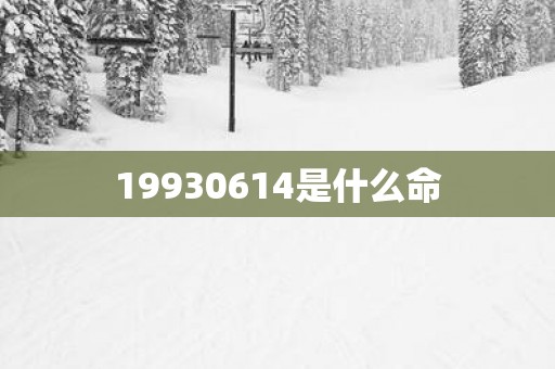 19930614是什么命