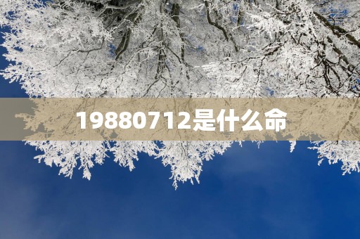 19880712是什么命