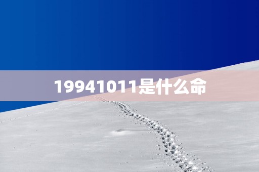19941011是什么命