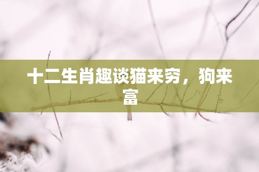 十二生肖趣谈猫来穷，狗来富
