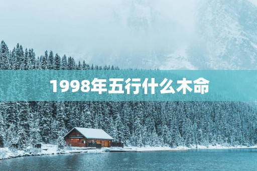 1998年五行什么木命