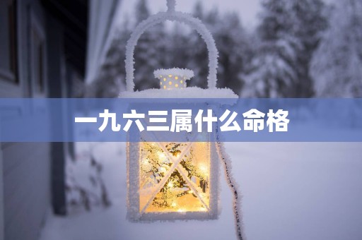 一九六三属什么命格