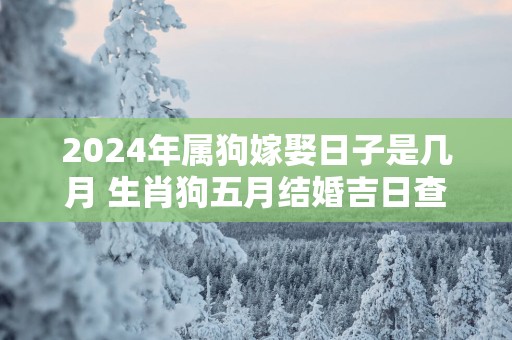 2025年属狗嫁娶日子是几月 生肖狗五月结婚吉日查询