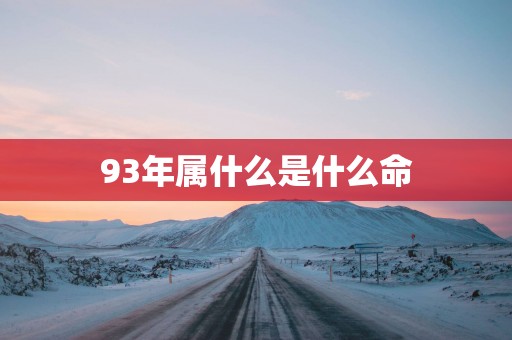 93年属什么是什么命