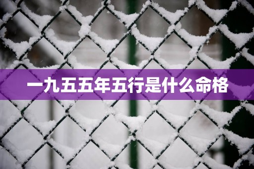 一九五五年五行是什么命格