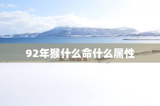 92年猴什么命什么属性