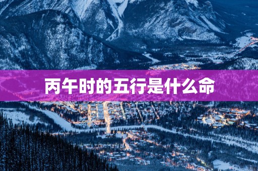 丙午时的五行是什么命