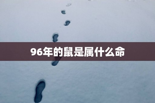 96年的鼠是属什么命