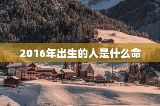 2016年出生的人是什么命