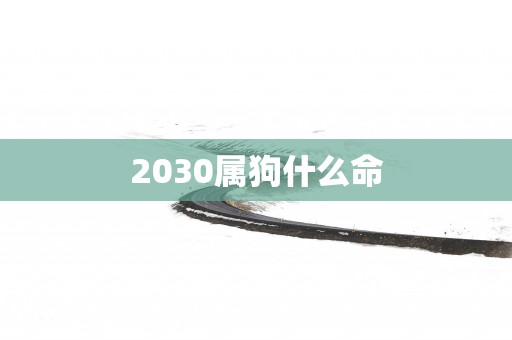 2030属狗什么命