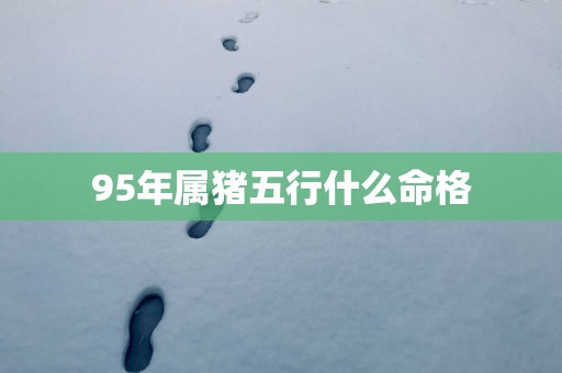 95年属猪五行什么命格