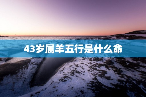 43岁属羊五行是什么命