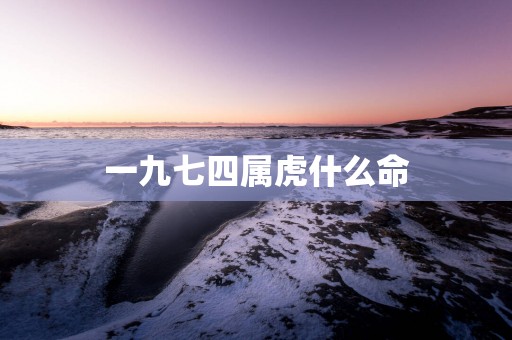一九七四属虎什么命