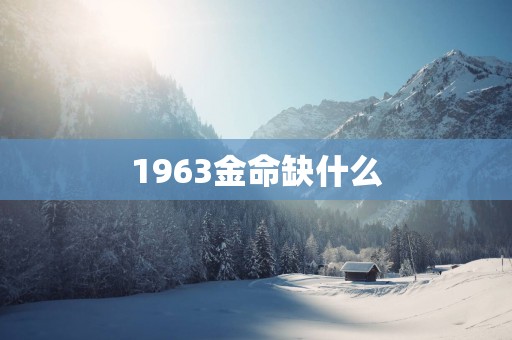 1963金命缺什么